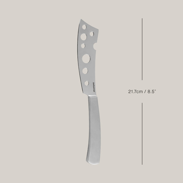 Barcelona Stainless Steel Semi-Soft Cheese Knife